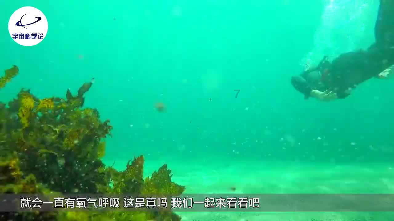 影视工厂